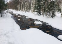 Экскурсия по молодому национальному парку Зюраткуль